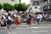 IMG_6412 (2) 